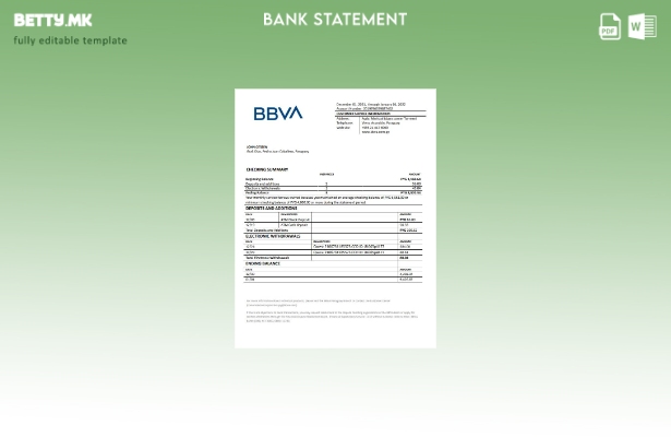 модерен стил Парагвајски BBVA шаблон за извод од банка